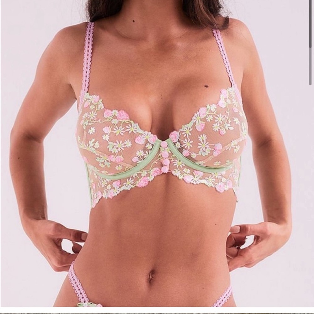 Tutti Frutti Bra For Love and Lemons Brand / Bra only